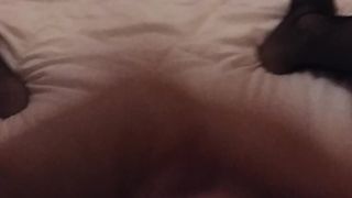 la mitica trav SAMANTHA 69