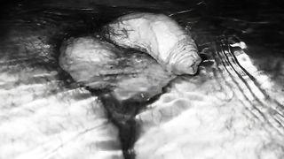 Godere nel pisciare...