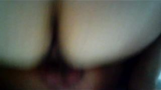 Due bull mi scopano in tutti i buchi