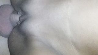 Anteprima del video: Alla pecorima