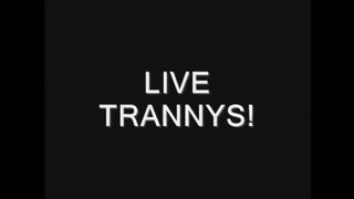 La sua "terza gamba"