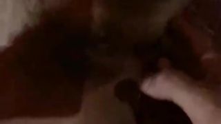 Leccata al sapore di fica