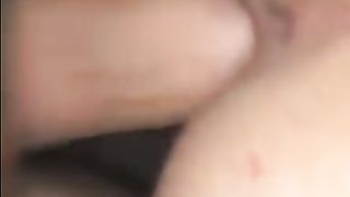 La cagna sfondata gode