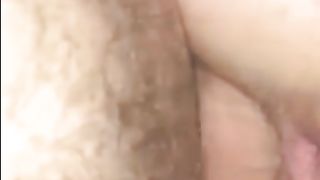 La cagna sfondata gode