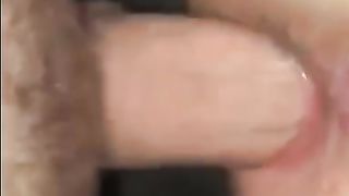 La cagna sfondata gode