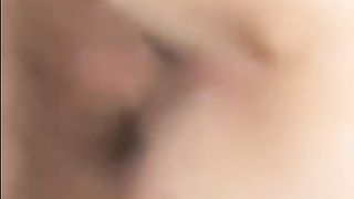 La cagna sfondata gode