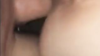 La cagna sfondata gode