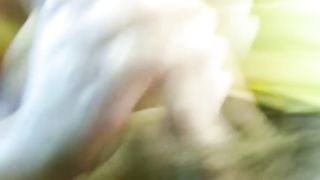 Pompinare amatoriali