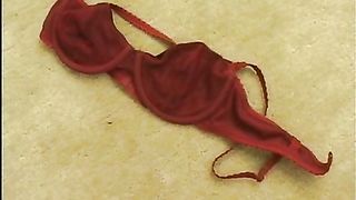 Anteprima del video: Dildo e cazzo insieme