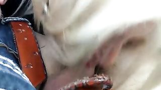 Pompino amatoriale dalla bionda Kaylee