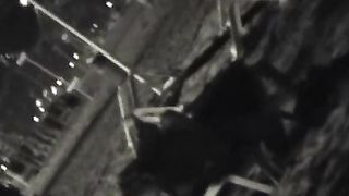 Scopata notturna sulla spiaggia