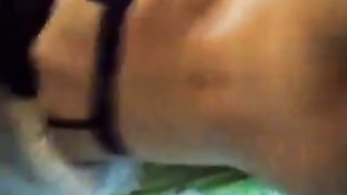 Calda ragazza cilena