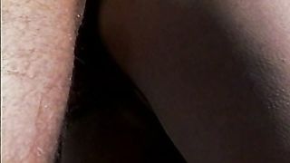 Figa bruna scopata sulla neve