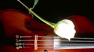 Rossa gioca con un dildo in cam