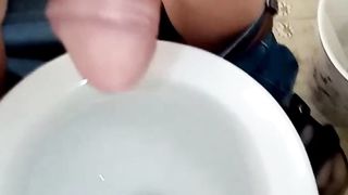 Giacomino pisciarino