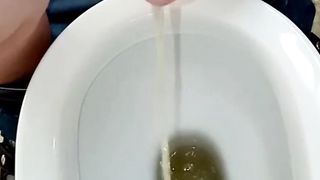 Giacomino pisciarino