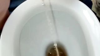 Giacomino pisciarino