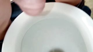 Giacomino pisciarino