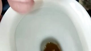 Giacomino pisciarino