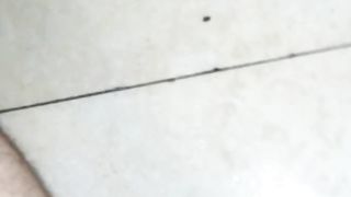 Tributo a Alexis Queen