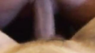 Mia cugina mi cavalca