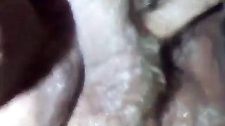 La mia compagna porca