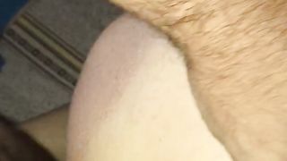 Che goduria vedere un altro uomo che incula mia moglie!