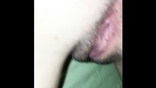 La stretta fica pelosa della mia troietta