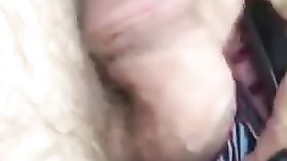 Durante il giorno...