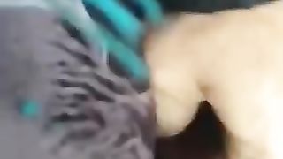 Durante il giorno...