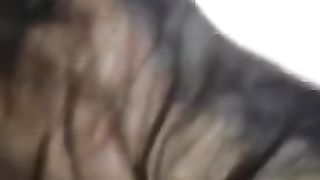 Non SONO UNA PUTTANA ! Ma me piace il CAZZO !