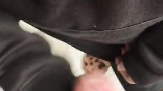 SEGA e POMPA in quarantena 