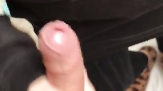 SEGA e POMPA in quarantena 