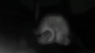 Chiavata inaspettata con teen arrapata