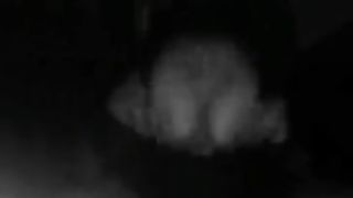 Chiavata inaspettata con teen arrapata