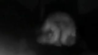 Chiavata inaspettata con teen arrapata