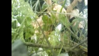 Anteprima del video: Nel boschetto si scopa...