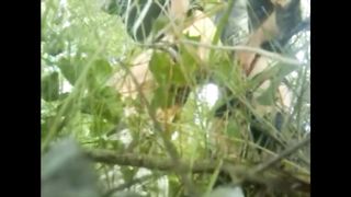 Nel boschetto si scopa...