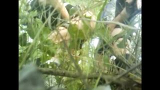 Nel boschetto si scopa...