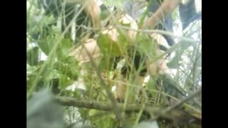 Nel boschetto si scopa...