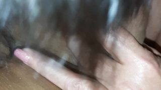 SUCCHIA, SUCCHIA, SUCCHIA