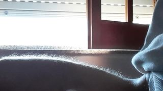 Sega tributo scopamica