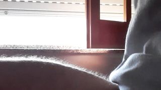 Sega tributo scopamica