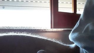 Sega tributo scopamica