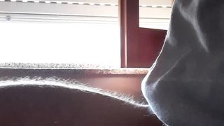 Sega tributo scopamica