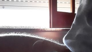 Sega tributo scopamica