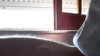 Sega tributo scopamica