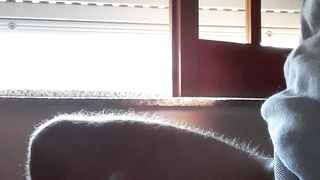 Sega tributo scopamica