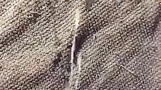 Sborrata copiosa per moglie