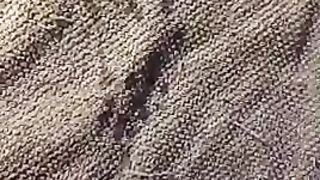 Sborrata copiosa per moglie